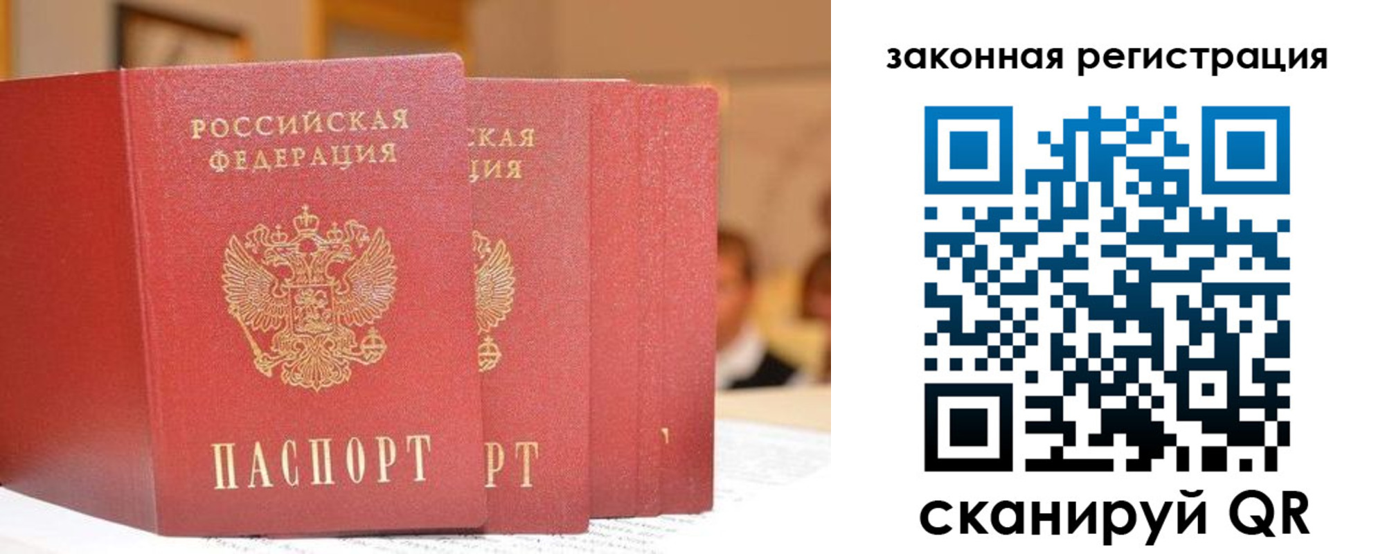 прописка поиск в Долгопрудном